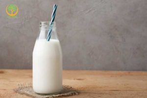 skim milk to drink during intermittent fasting