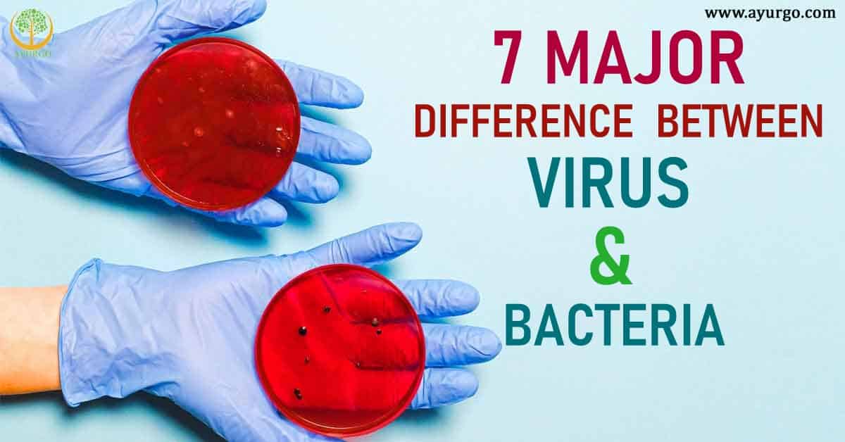 You are currently viewing 7 Major Difference Between Virus and Bacteria