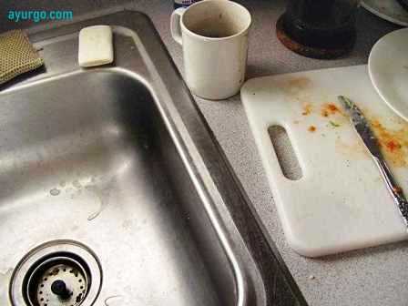 germs on kitchen sink