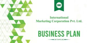 imc business plan